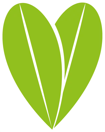 Cuore verde de L'Ulivo del Conero
